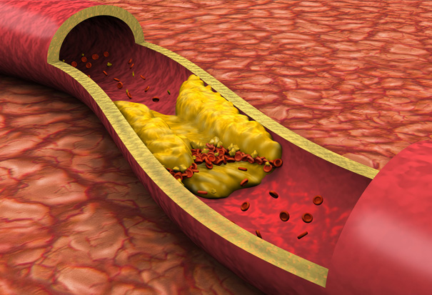 Graphical Diagram of Veins Inner Section Stock Image