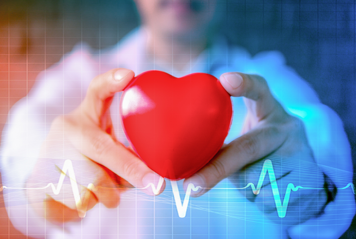 Doctor holding model of heart over answering is heart disease treatable