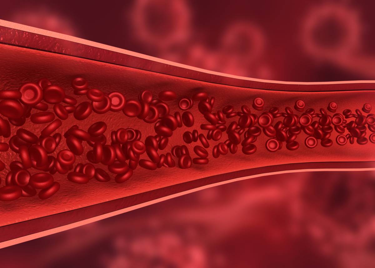 concept image of arteries up close