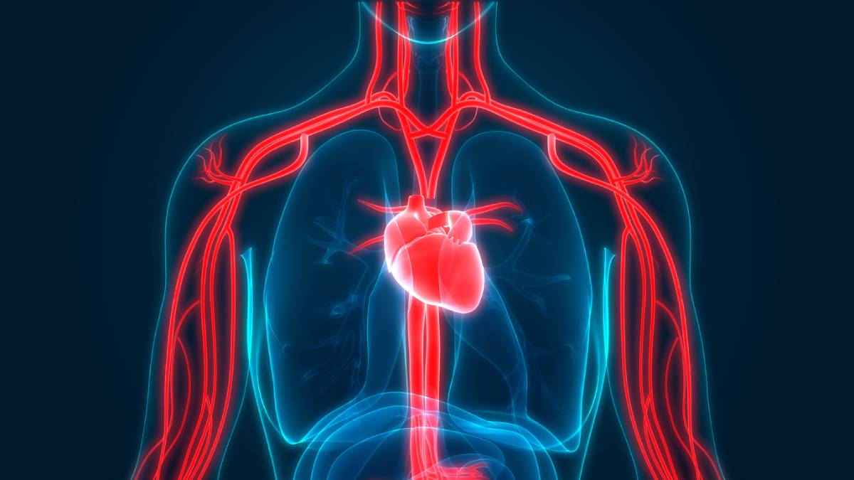 concept art of risk factors for peripheral artery disease